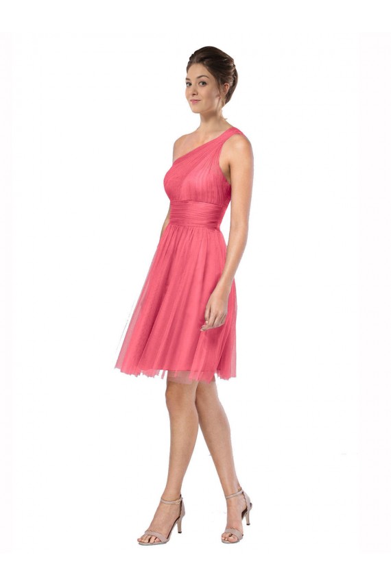 Tulle A-Line Long Sleeveless Watermelon Bridesmaid Dress Barrie